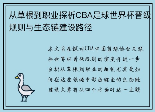 从草根到职业探析CBA足球世界杯晋级规则与生态链建设路径